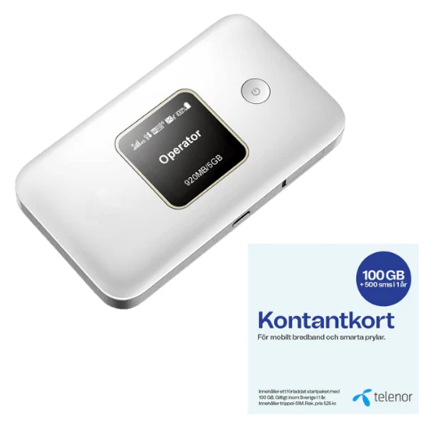 Miniatyrbild 1